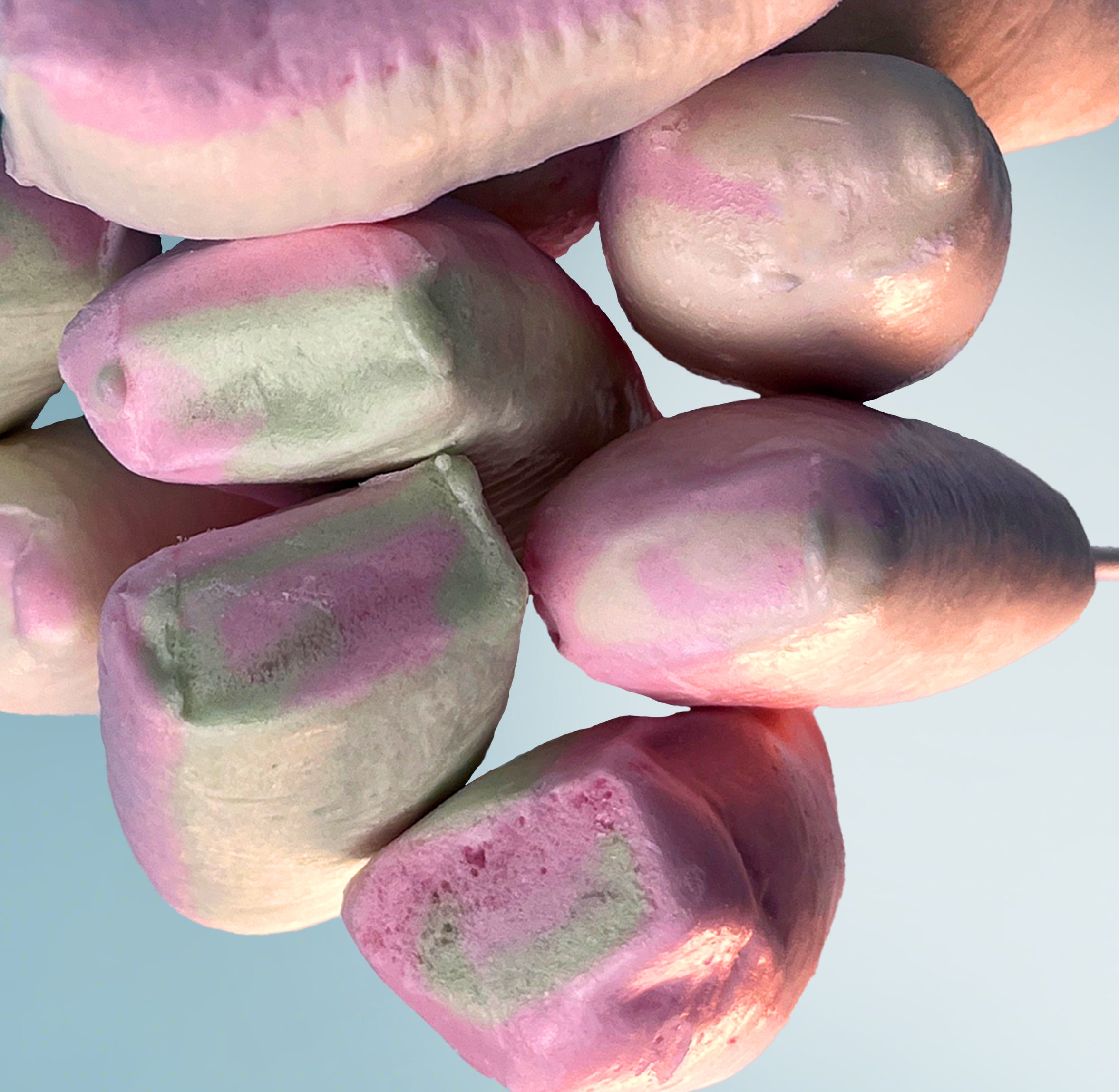 Freeze-Dried Drumstick Lollies
