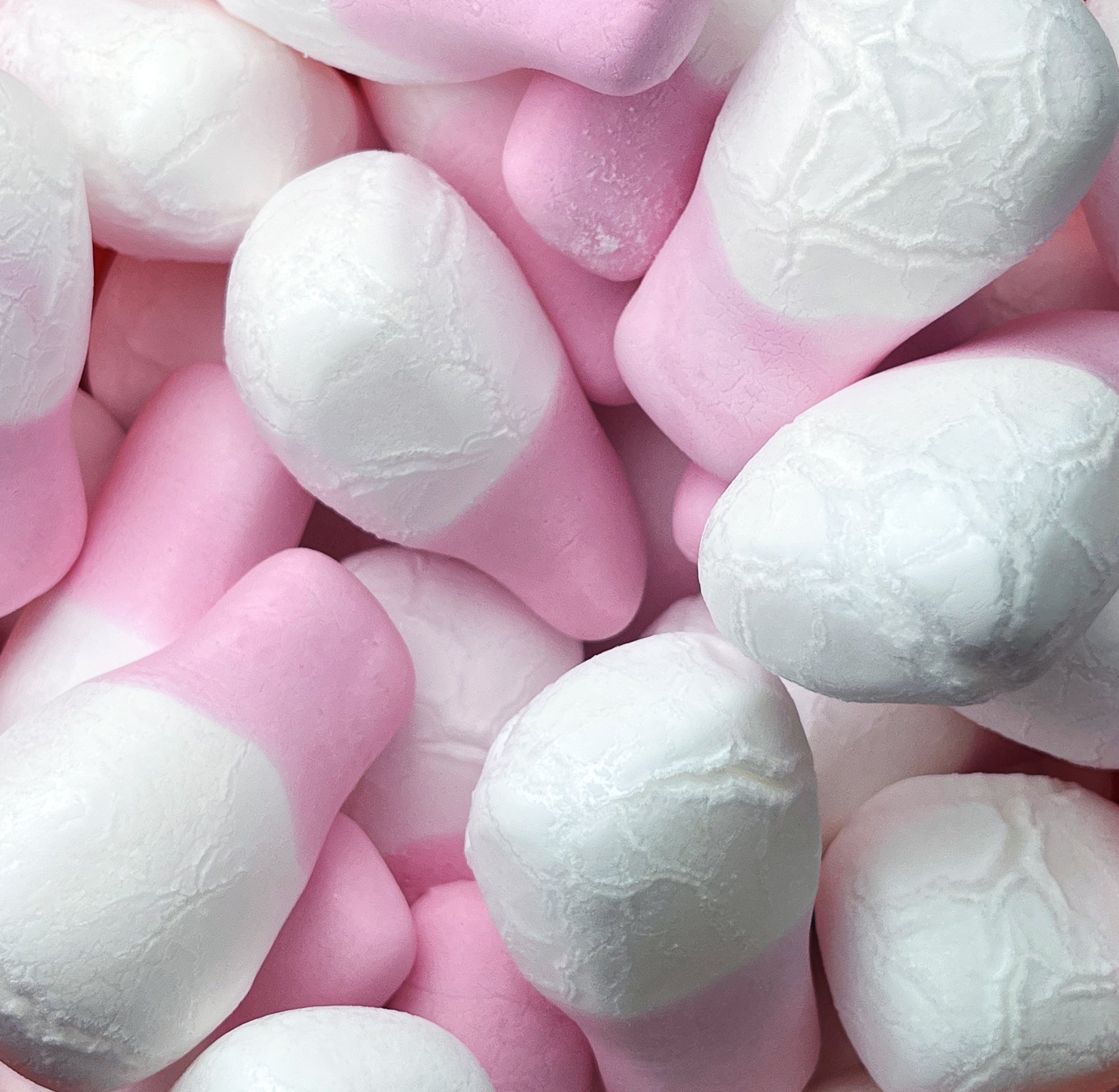Freeze Dried Original Squashies